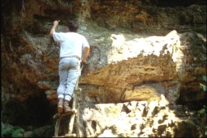 Thumbnail for Dr. Houston examining …