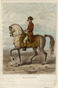 Thumbnail for Bonaparte