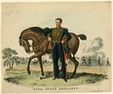 Thumbnail for Royal Horse Artillery