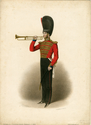 Thumbnail for Coldstream Guards. Bandsman, …