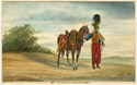 Thumbnail for 10th Hussar officer …