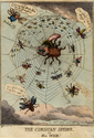 Thumbnail for The Corsican spider …