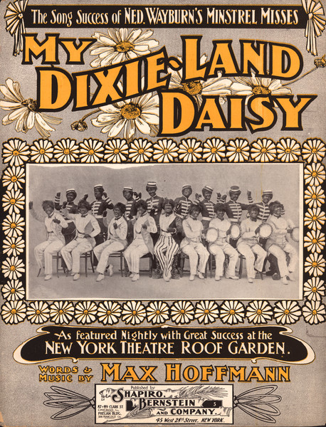 Thumbnail for My Dixie land …