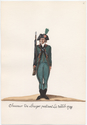 Thumbnail for Chasseur de Bruges …