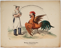 Thumbnail for "Lieb Cöckelein magst …