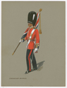 Thumbnail for Grenadier Guards. Flag …