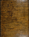 Thumbnail for Stylobates colvmnae Antoninae …
