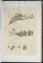 Child thumbnail