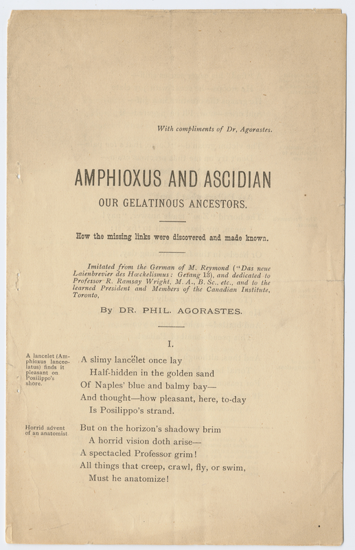 Thumbnail for Amphioxus and Ascidian, …