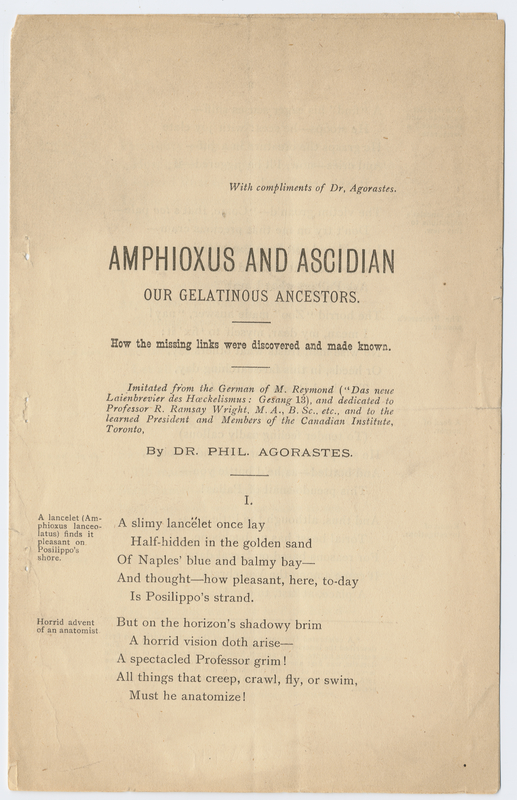 Thumbnail for Amphioxus and Ascidian, …