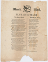 Thumbnail for Black bird, and …