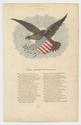 Thumbnail for The American eagle