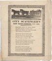 Thumbnail for City scavenger's New …