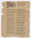 Thumbnail for Charlestown land shark