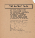 Thumbnail for The forest pool