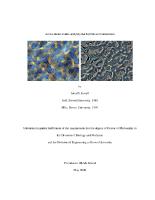Thumbnail for Active metal oxides …