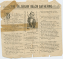 Thumbnail for The Salisbury Beach …