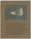 Thumbnail for The antiseptic baby