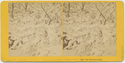Thumbnail for The first snow-fall