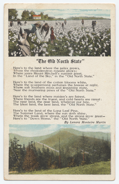 Thumbnail for The Old North …