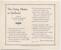 Thumbnail for The dying marine …