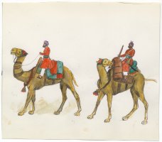 Thumbnail for Camel corps (2), …