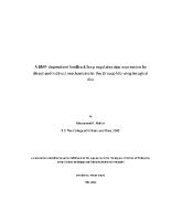 Thumbnail for A BMP-dependent feedback …
