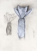 Thumbnail for Dark Plants, 13 …