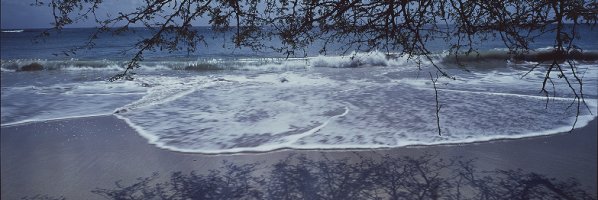Thumbnail for Beach at La …