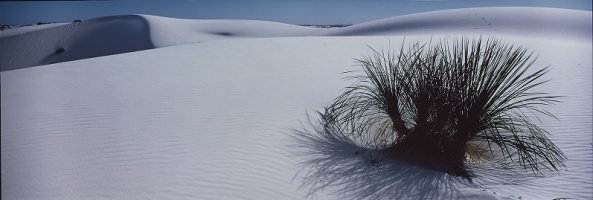 Thumbnail for Dune at White …