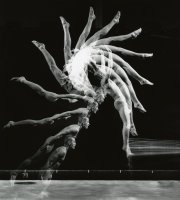 Thumbnail for Back Dive (30 …