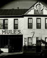 Thumbnail for Stables, Natchez, Mississippi, …