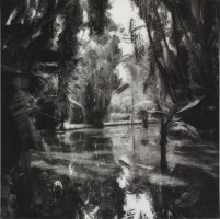 Thumbnail for Rio, Botanical Garden …