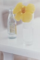 Thumbnail for Yellow Flower, St. …