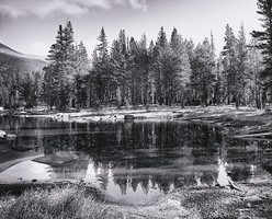 Thumbnail for Pond, Tioga Pass, …