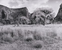 Thumbnail for Twin Trails, Canyon …