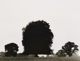 Thumbnail for Hamstead Heat, England …