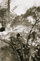 Thumbnail for Fernes, Italy <small> …