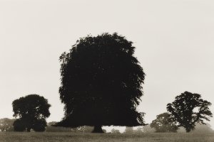 Thumbnail for Hamstead Heath, England …