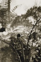 Thumbnail for Ferens, Italy <small> …