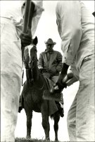 Thumbnail for Boss, Ferguson Unit, …