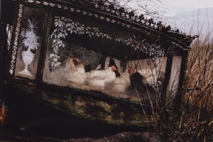 Thumbnail for Hens in a …