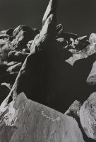 Thumbnail for Petrified Forest, Arizona …