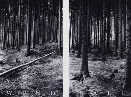 Thumbnail for Windfall (Czech-Republic) <small> …