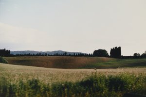 Thumbnail for Hillside <small> (Object …