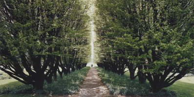Thumbnail for Hornbeam Vista, Horticulture …