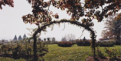 Thumbnail for Autumn Rose Arbor, …