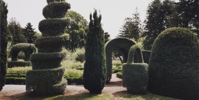 Thumbnail for Geometric Topiary, Green …