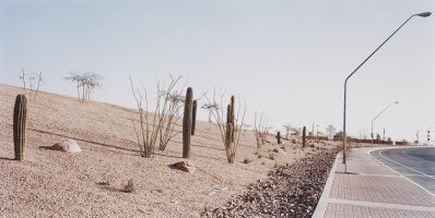Thumbnail for Highway Cactus Planting, …