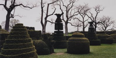Thumbnail for Bare Trees and …